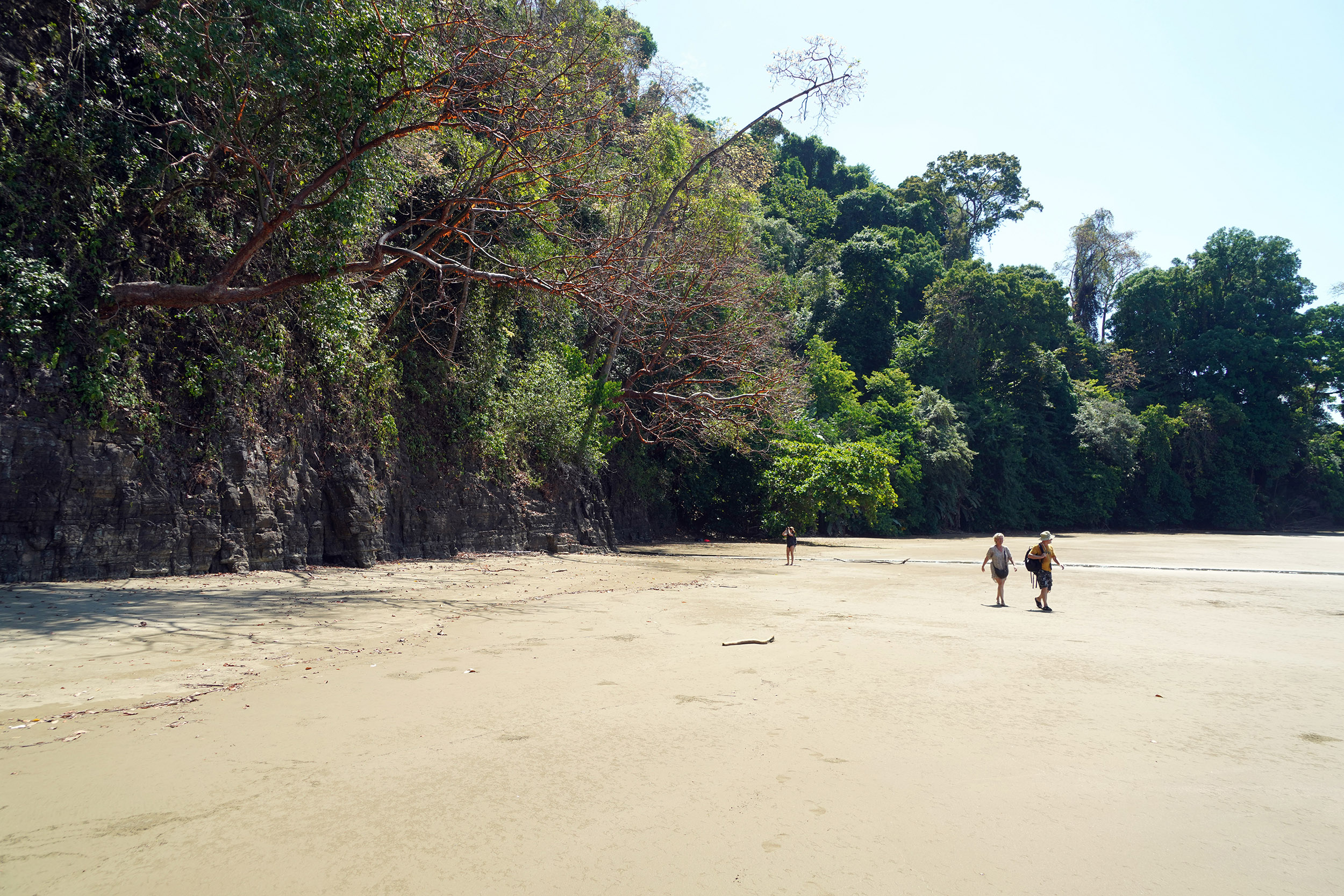 Costa Rica - Février 2025